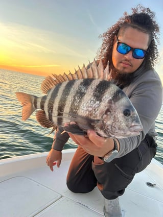Inshore 4hr Trip