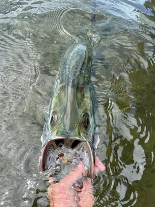 Summerland Key Flats Fishing