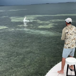 4-8 Hours Fishing Trip