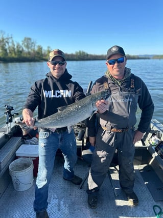 Ocean Coho/ Chinook