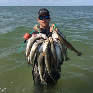 Speckled Trout Fishing in Galveston, Texas