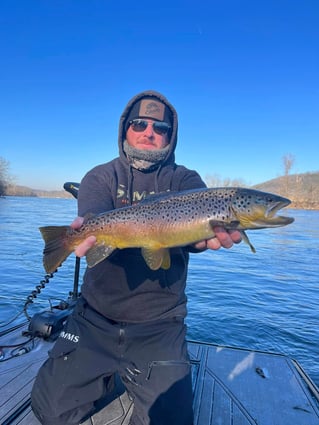 Trout Fishing
