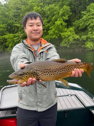 Trout Fishing