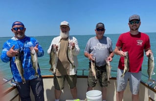 Full Day Trip – Lake Erie
