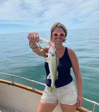 Full Day Trip – Lake Erie