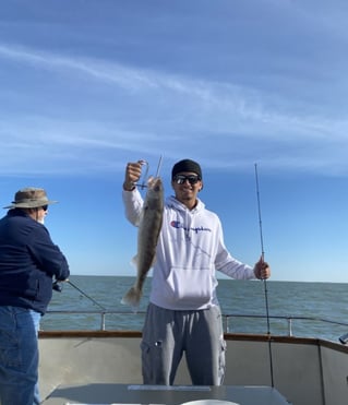 Full Day Trip – Lake Erie