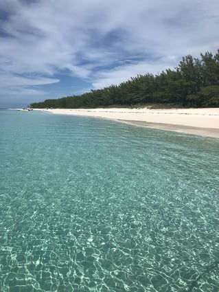 38ft Fish, Snorkel, Beach