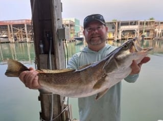 5 Hour Trip – Bay Fishing