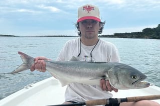 Inshore/nearshore Trips