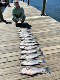 Striper Fishing Lake Murray SC