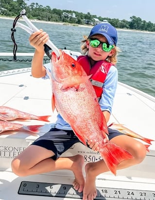 Redfish Fishing in Crawfordville, Florida