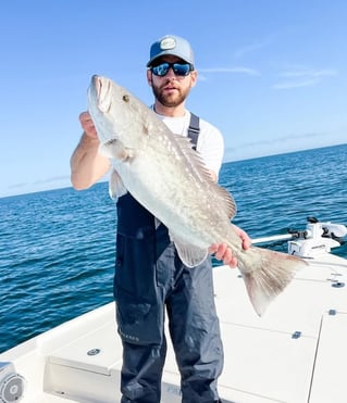 Gag Grouper Fishing in Crawfordville, Florida