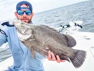 Tripletail Fishing in Crawfordville, Florida