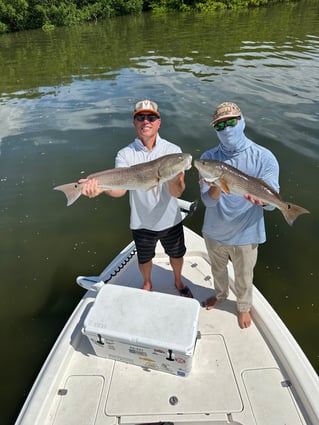 4hr inshore