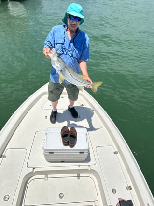 4hr inshore
