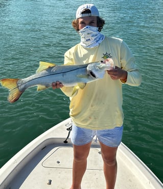 4hr inshore