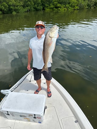 4hr inshore