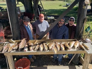 7 Hour Charter Trip Inshore 