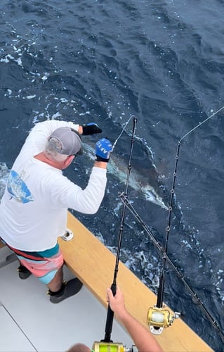 Full Day Offshore Fishing