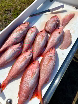 Offshore Bluewater Adventure 