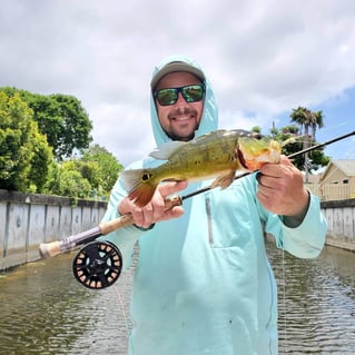 Peacock Bass Fishing in Delray Beach, Florida