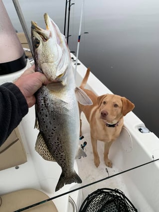 Inshore Fishing Trip