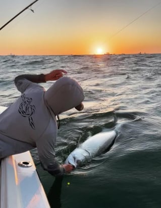 Inshore Fishing Trip