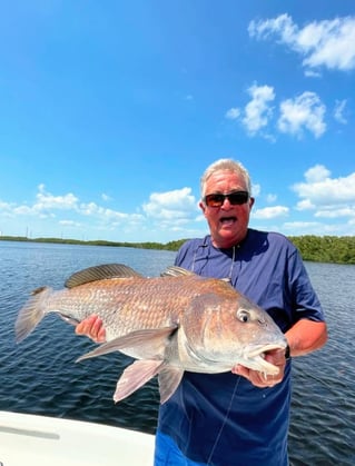 Inshore Fishing Trip