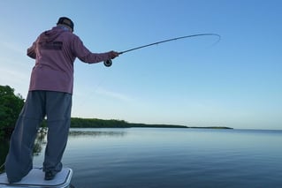 Punta Gorda Fly Fishing Trip