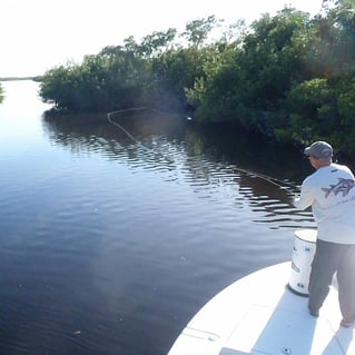 Punta Gorda Fly Fishing Trip