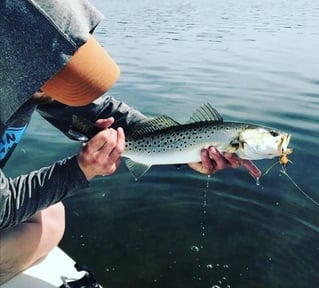 Punta Gorda Fly Fishing Trip