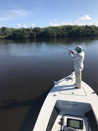Punta Gorda Fly Fishing Trip