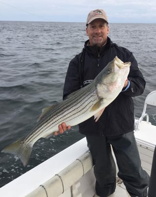 Inshore fishing Trip