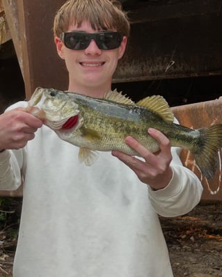 Bass Fishing Trip