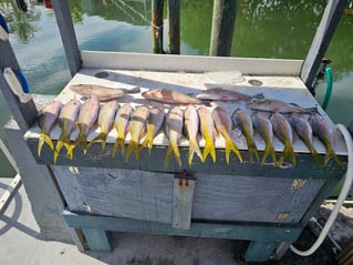 4 hr offshore or reef trip
