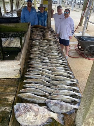 Inshore and Nearshore Fishing