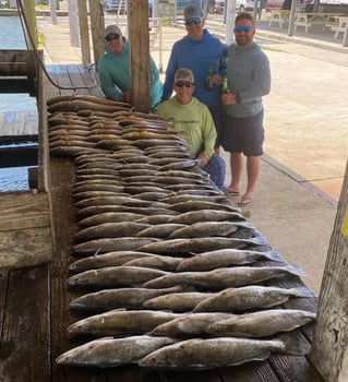 Inshore and Nearshore Fishing