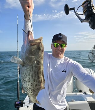 4-6 Hour Trip – Bottom Fishing