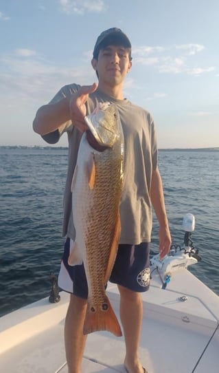 Inshore Fishing Trip