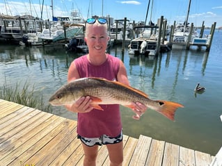 Inshore Fishing Trip