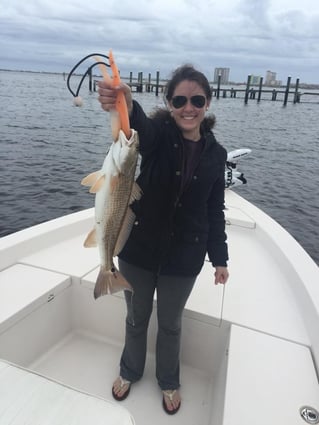Inshore Fishing Trip