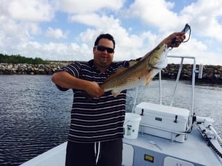Inshore day of fishing.