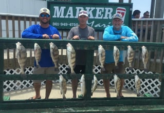 Inshore day of fishing.