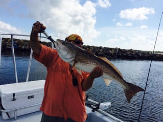 Inshore day of fishing.