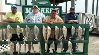 Inshore day of fishing.