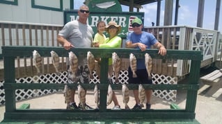 Inshore day of fishing.