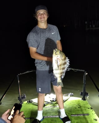 5hr Bowfishing/Gigging Night Trip