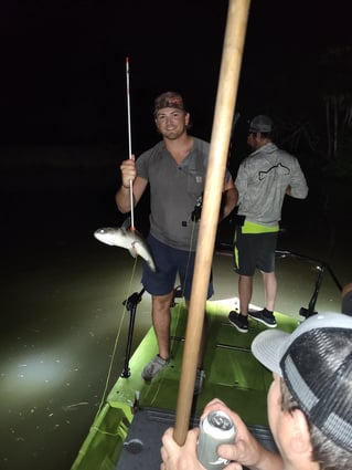 5hr Bowfishing/Gigging Night Trip