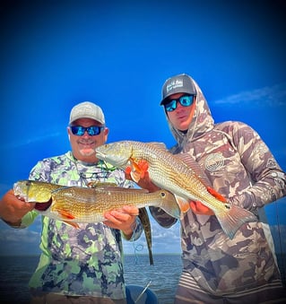 5-6 Hour Inshore Trip 