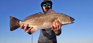 Sight-Fishing Adventure